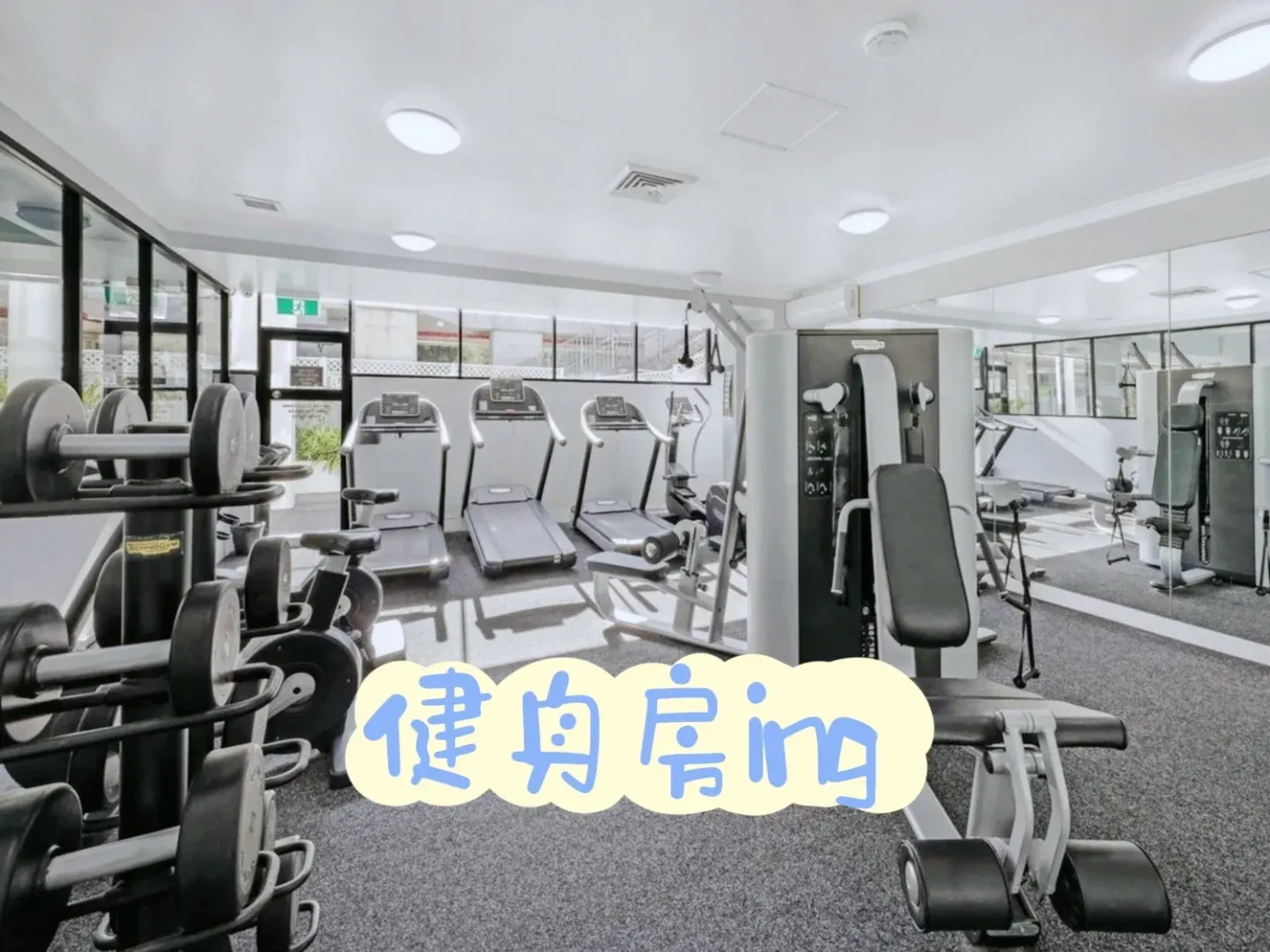 雪梨大學‖usyd&ust好房3b2b