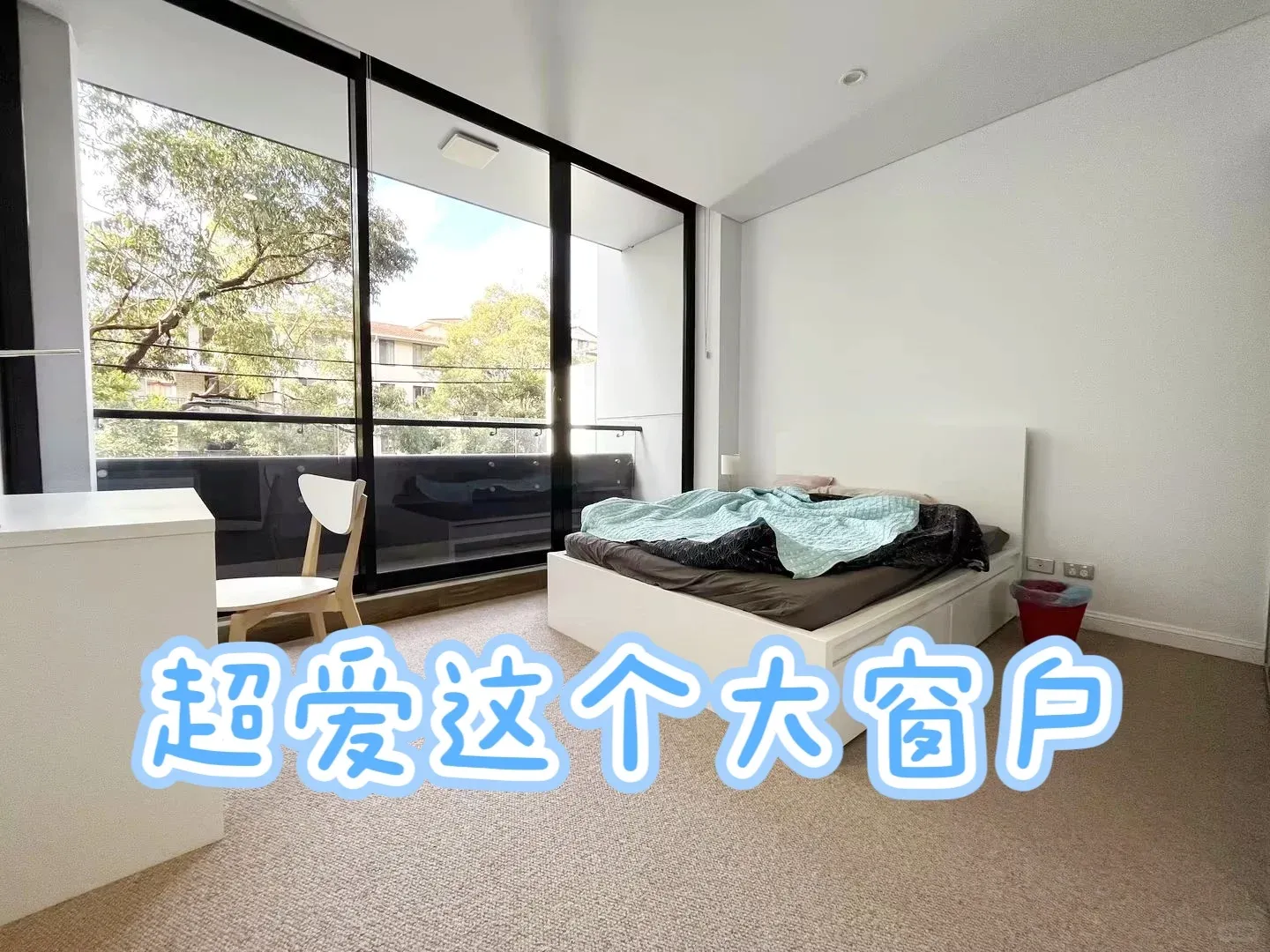 雪梨rosebery‖悉大&unsw🏠