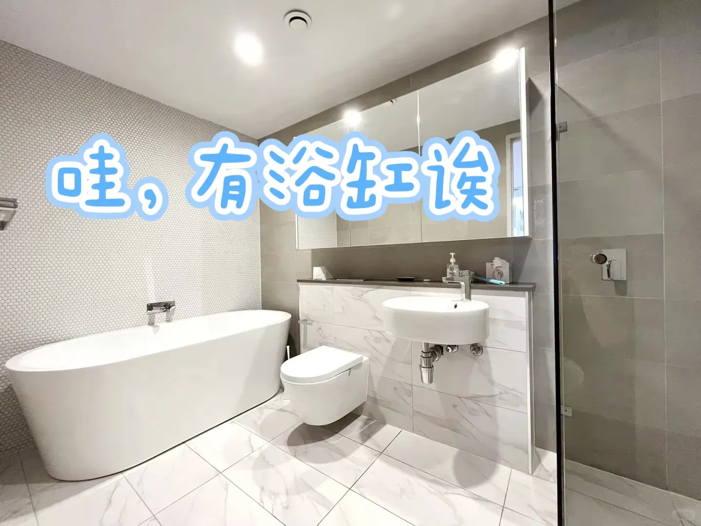 雪梨rosebery‖悉大&unsw🏠