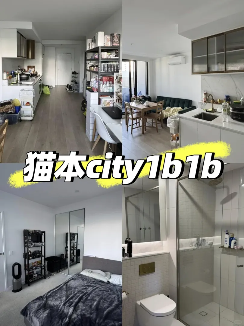 墨爾本帶陽台1b竟然這個💰？快來看看👀