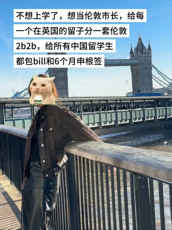 英區的留子你們精神狀態還好嗎？