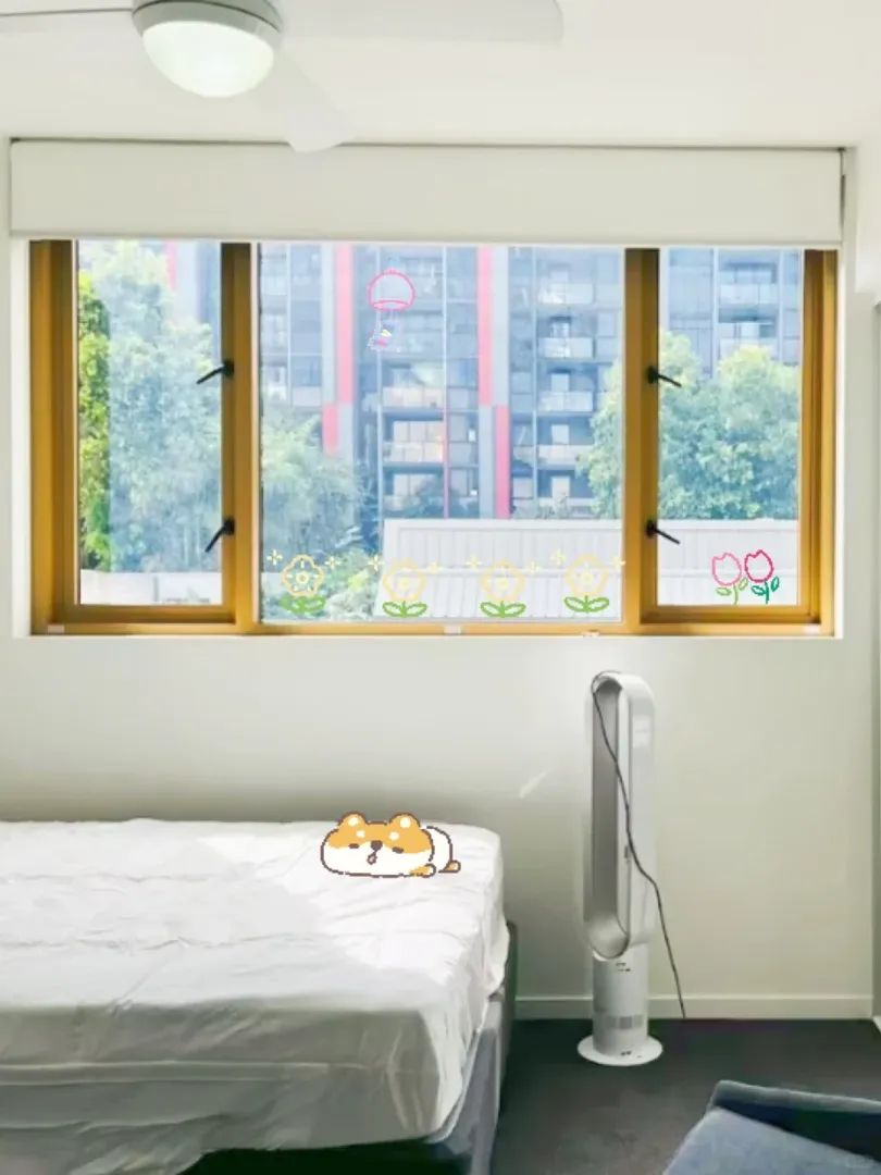 這不心動？布里斯班2b去uq免費接送包家具！