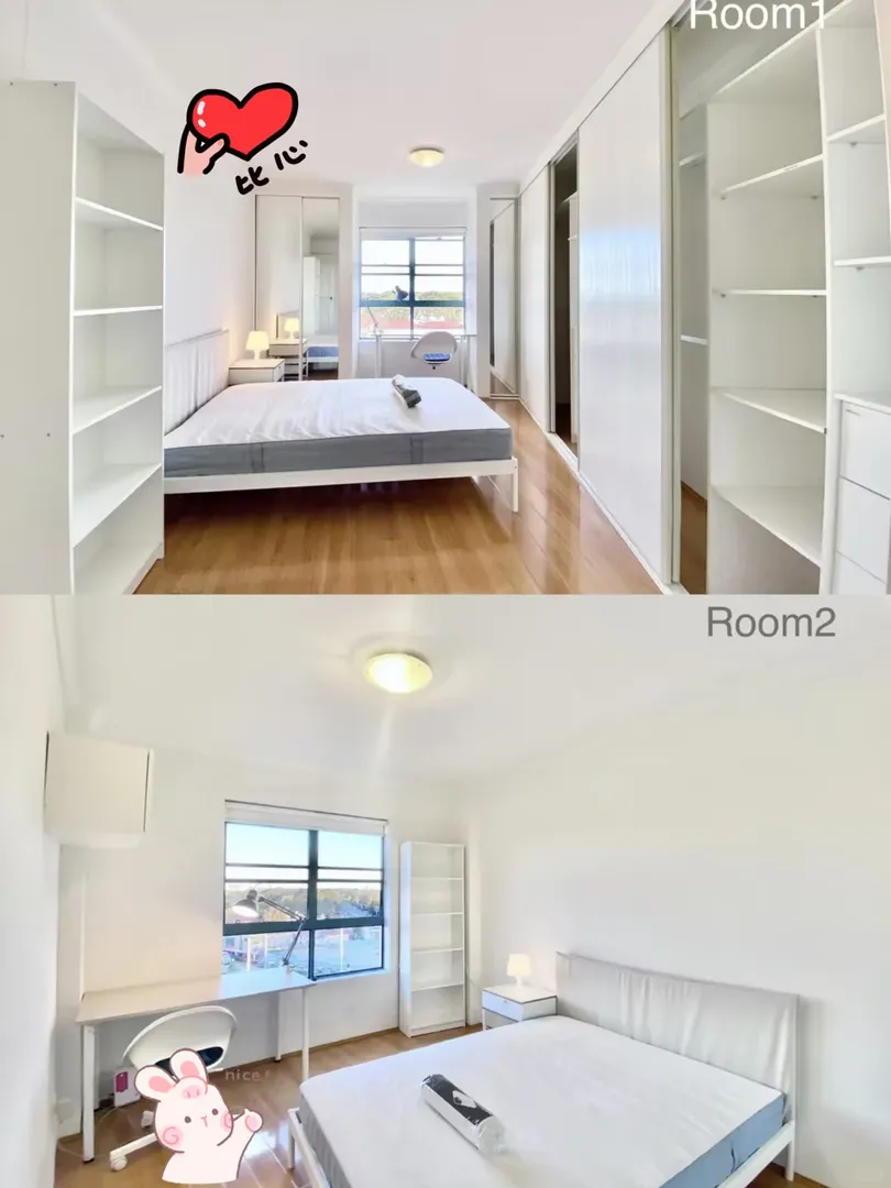 🇦🇺unsw的留子平時都住哪裡呢…請問？