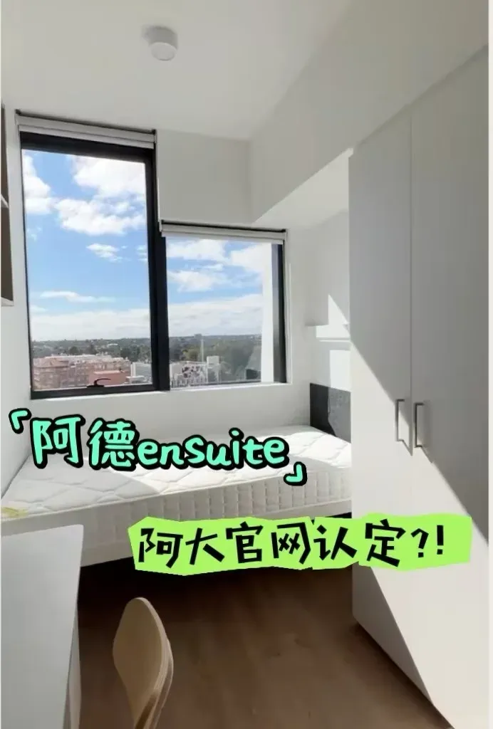 阿德的留子們！答應我一定要住校門口！
