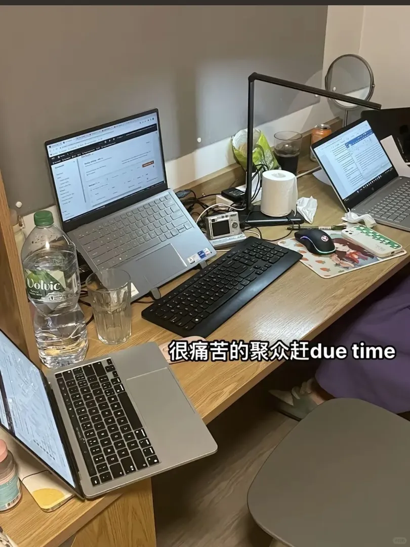 🇬🇧寶寶你是無所不能的小留子