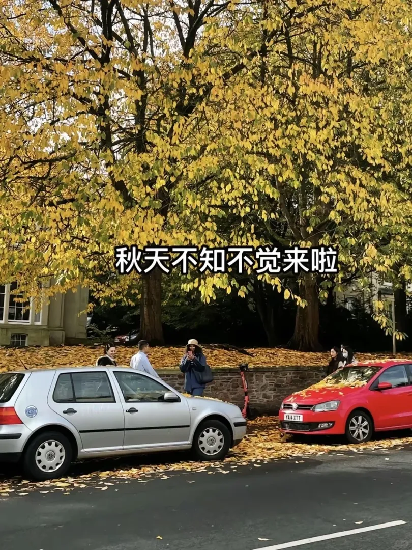 🇬🇧寶寶你是無所不能的小留子