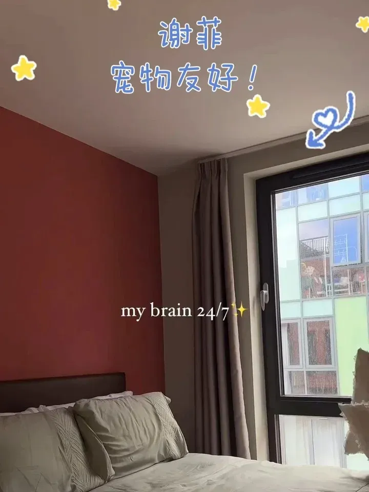 真的假的❓謝菲可以養寵物的公寓❓