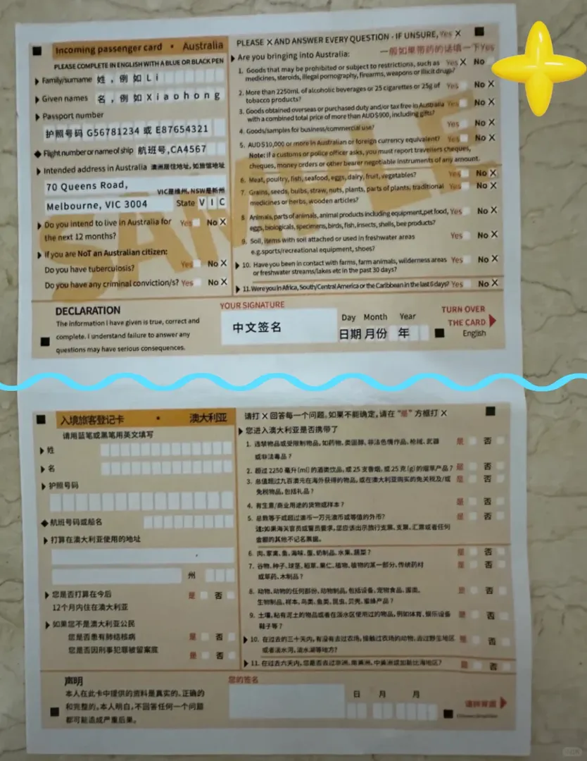 🇦🇺墨爾本機場入境絲滑攻略！快速通關