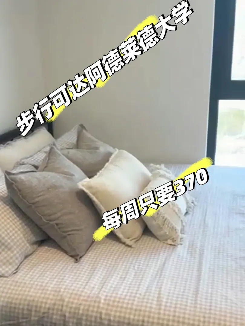 阿德萊德studio戶型詳解，明年2月🉑租