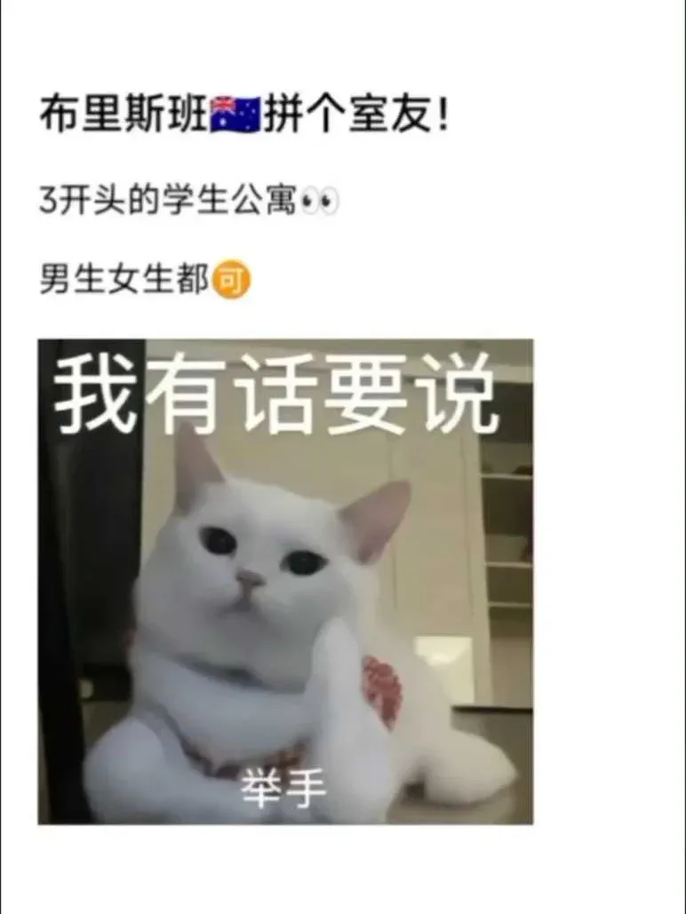 布里斯班qut找合租室友👀