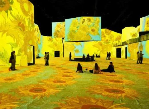 🌻墨爾本vr梵谷展 現場超出片！