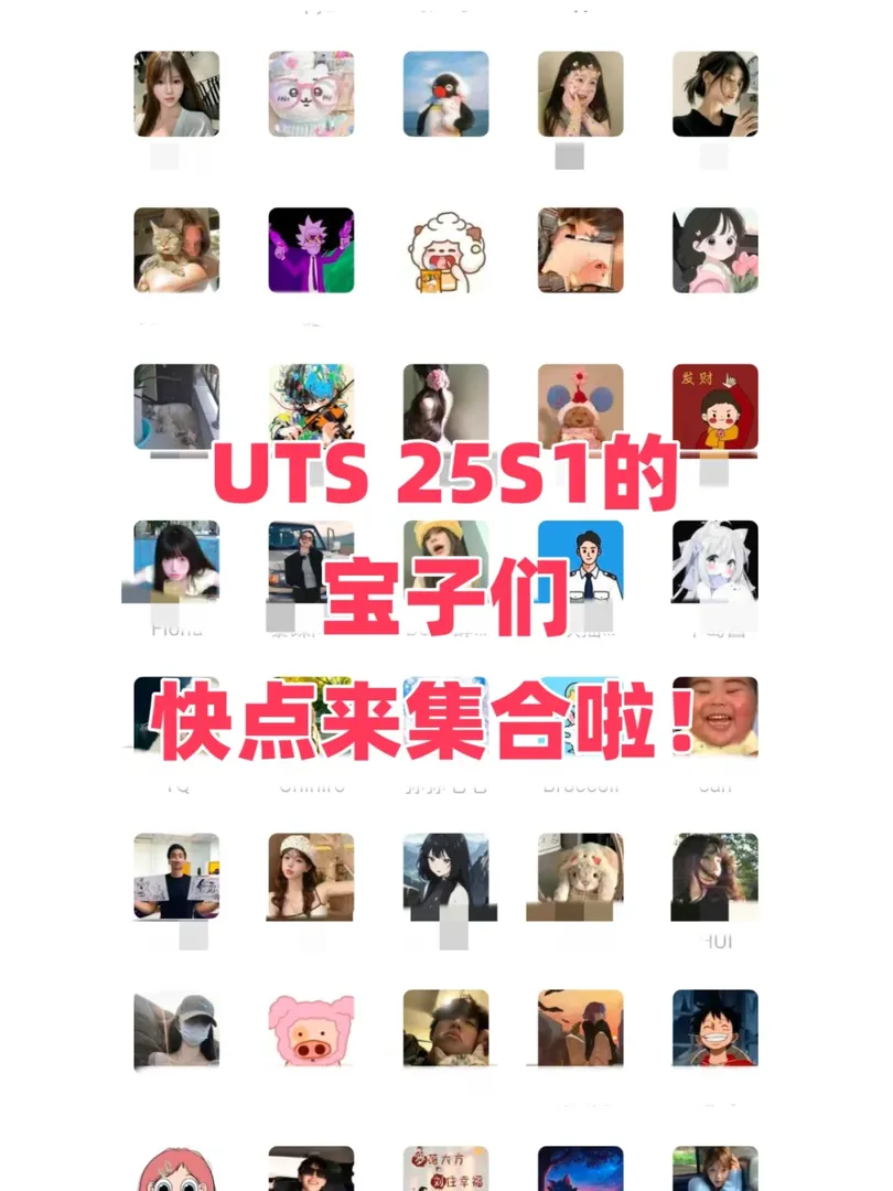 UTS 25的寶子快來集合啦