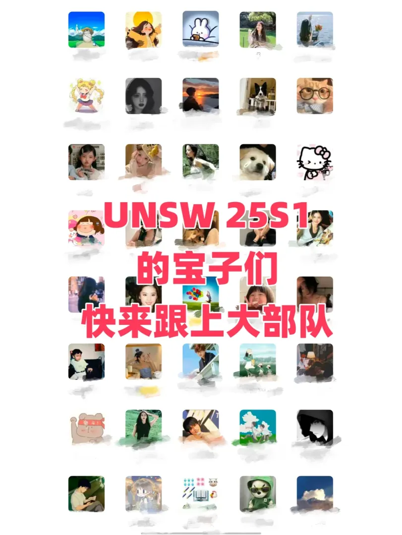 找到組織啦，UNSW的寶子們快來
