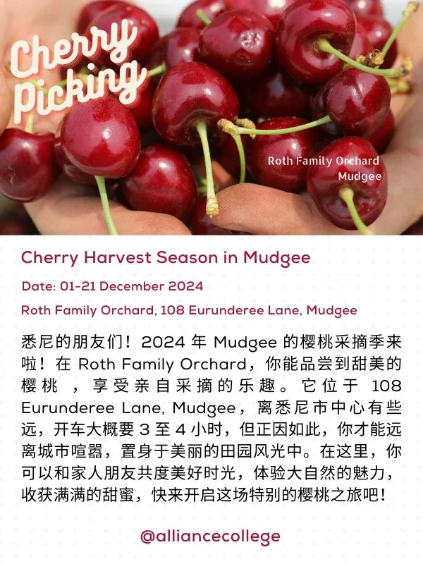 🇦🇺雪梨12月好玩的活動合集來啦