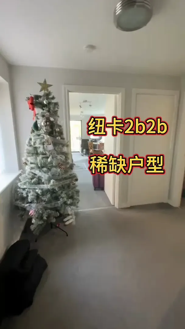🇬🇧紐卡—你小子老藏著掖著是吧？？？