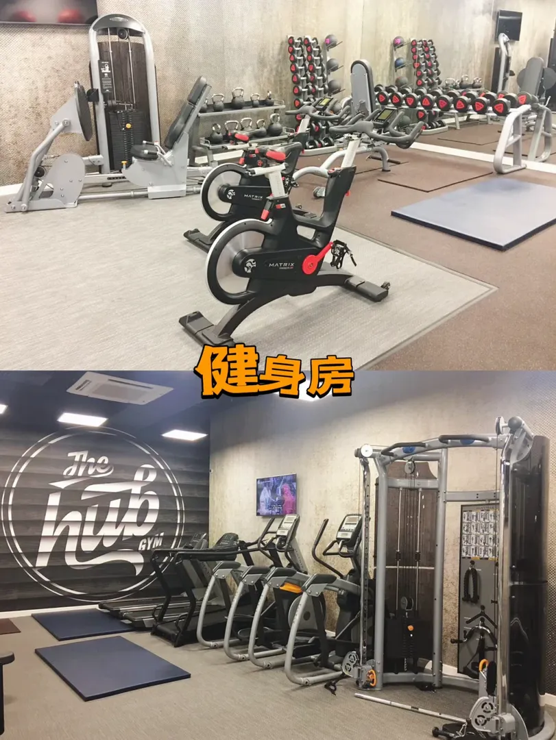 爆贊啦！老鐵們！建議紐卡留子看看這個公寓