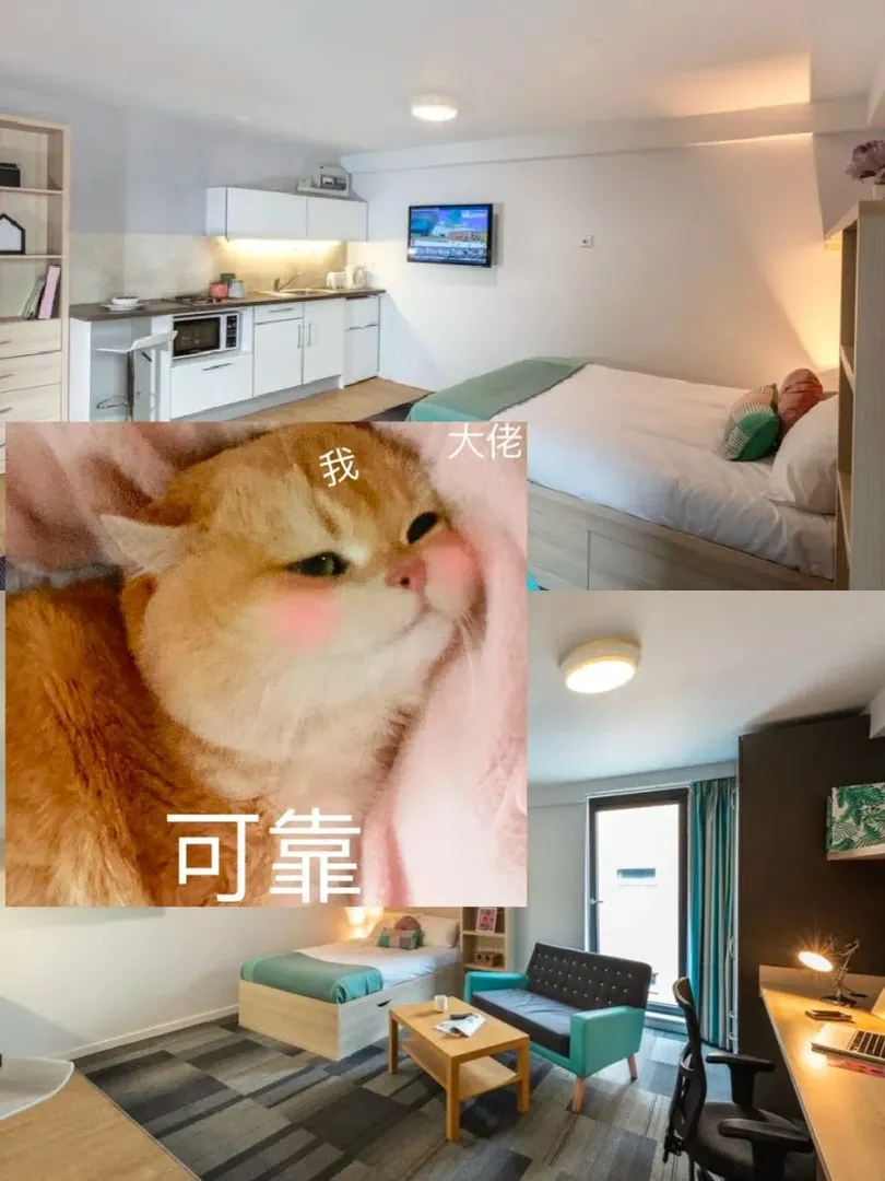 利物浦南校區找回家搭子