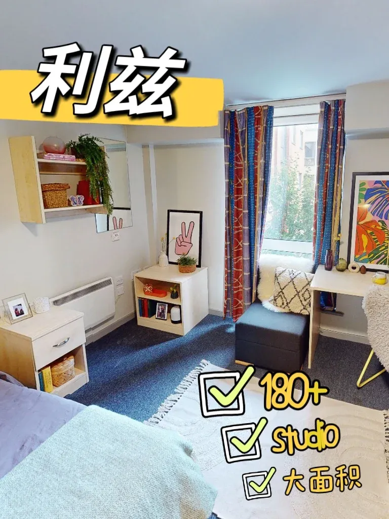 利茲🌰25fall，想住studio的有福啦❗