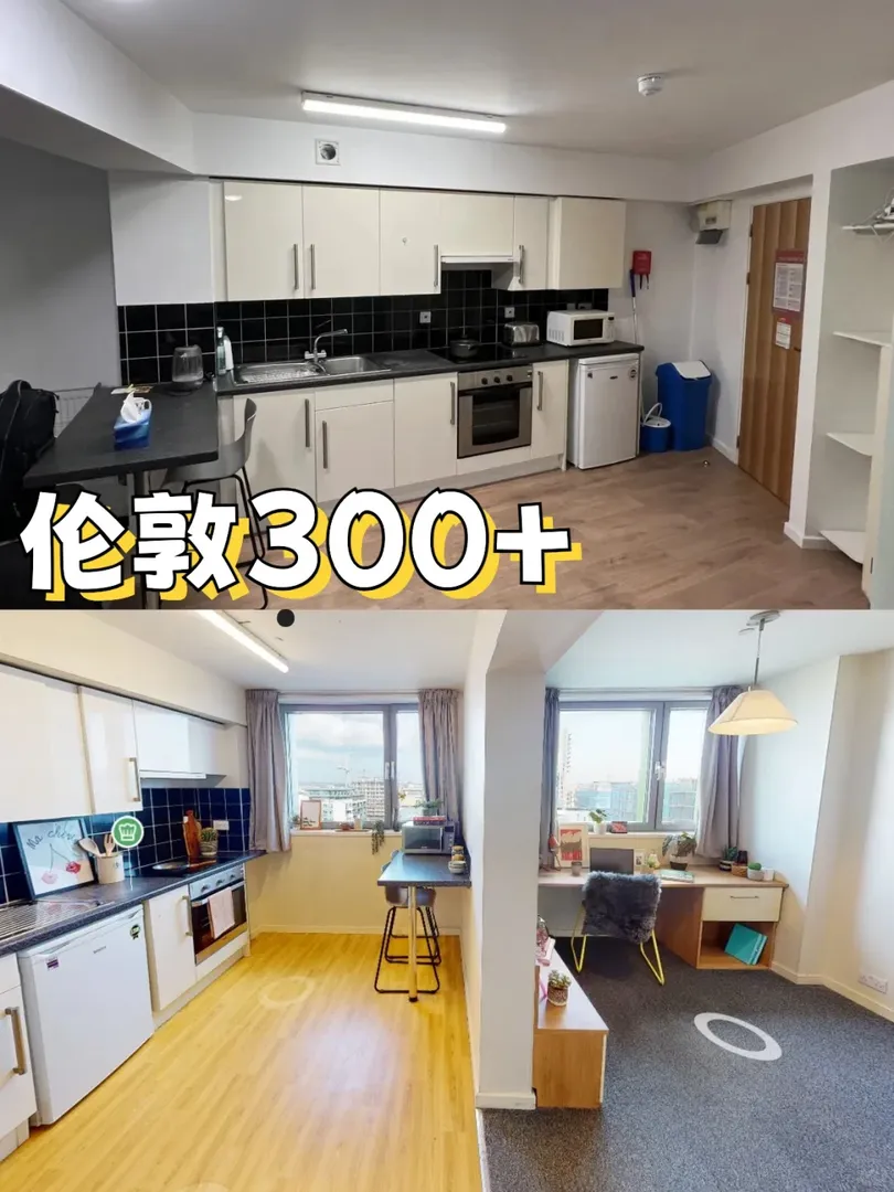 倫敦租房｜UCL的花ensuite的💰住小1b❗