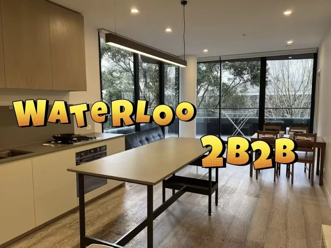 終於知道為什麼留子都喜歡waterloo了！