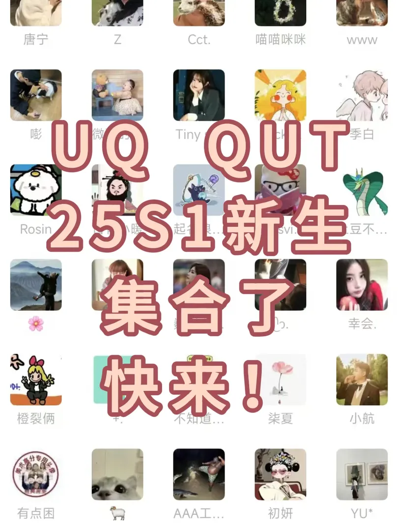 找到組織啦，UQ QUT25s1的寶子們，快進來！