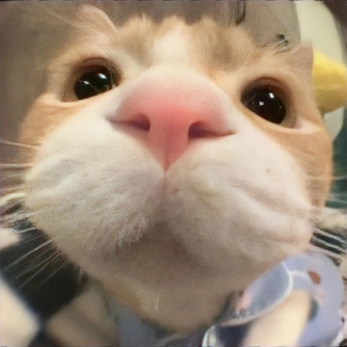 求🐱本推薦公寓，性價比高最好