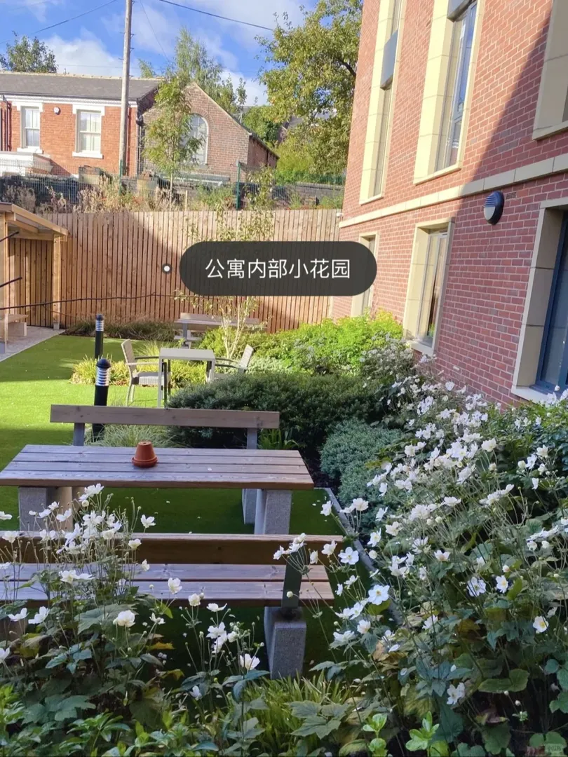 利茲獨立洗衣機的Studio有人要嗎？