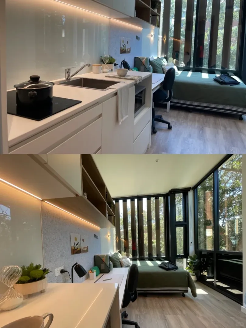 UNSW 超近大窗studio戶型，確定不心動嗎？