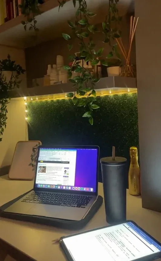 紐卡冬天太冷了，還不趕快回窩