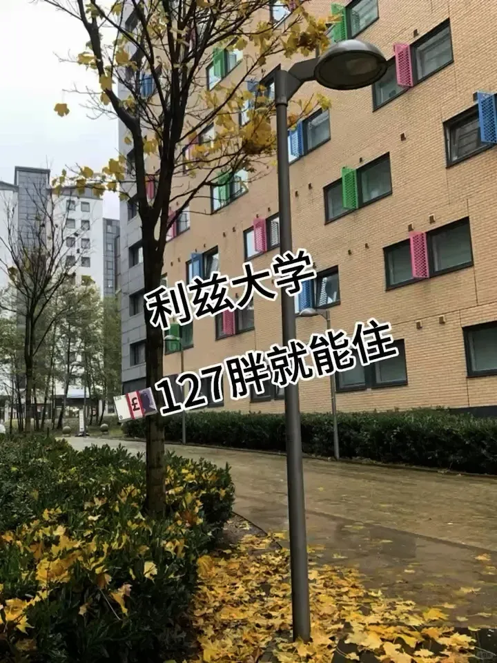 🇬🇧利茲｜講真的，127胖住的一點也不磕饞