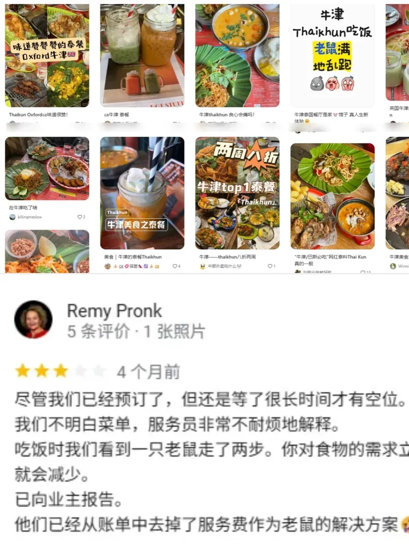 鼠膽包天！英國網紅餐廳老鼠滿地竄