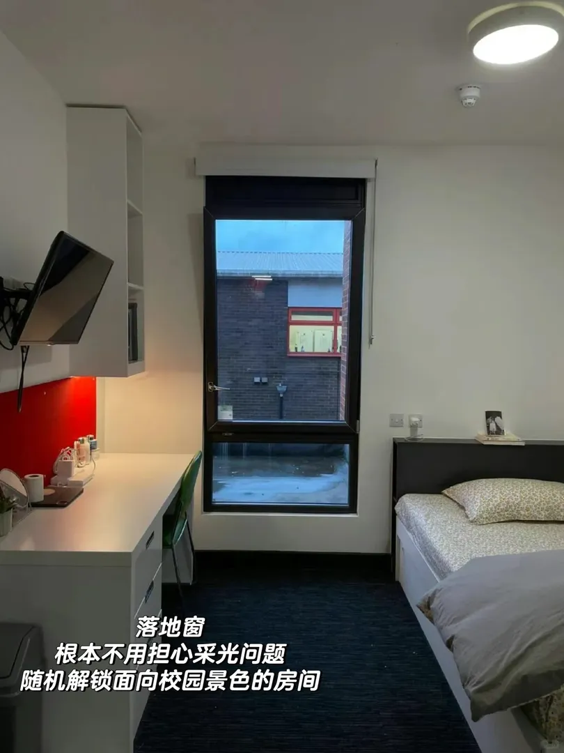 伯明罕 | 起不來星人的快樂誰能懂？