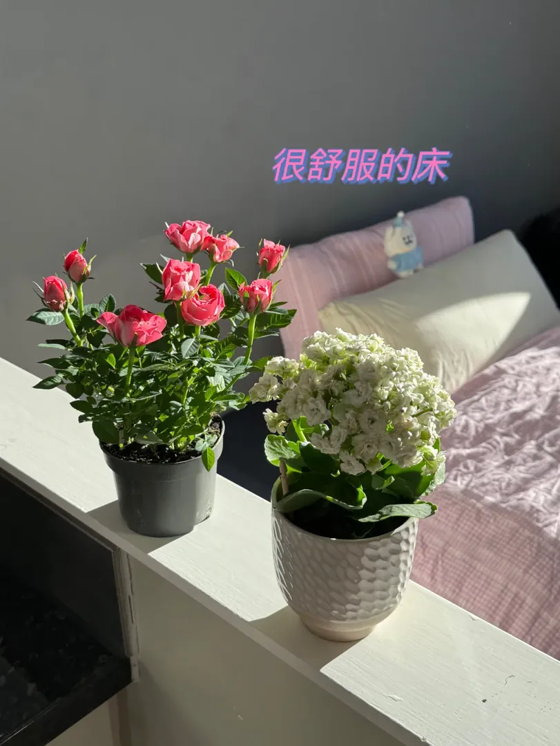 緊鄰莫雷｜牆裂推的獨立洗衣機Studio！！