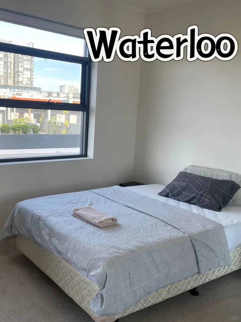 沒有Waterloo還有誰寵我們不一學校的好朋友