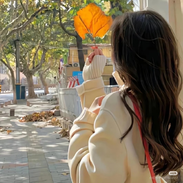 2月出悉尼步行去usyd和uts的studio 25s1来