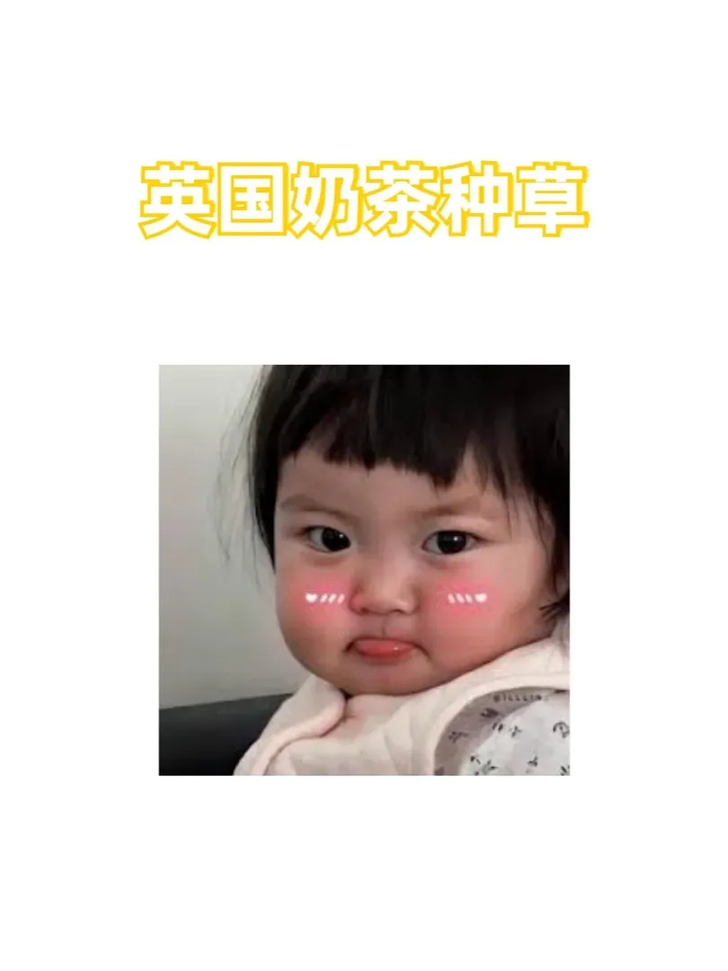 英國好喝的奶茶🧋求推！！！