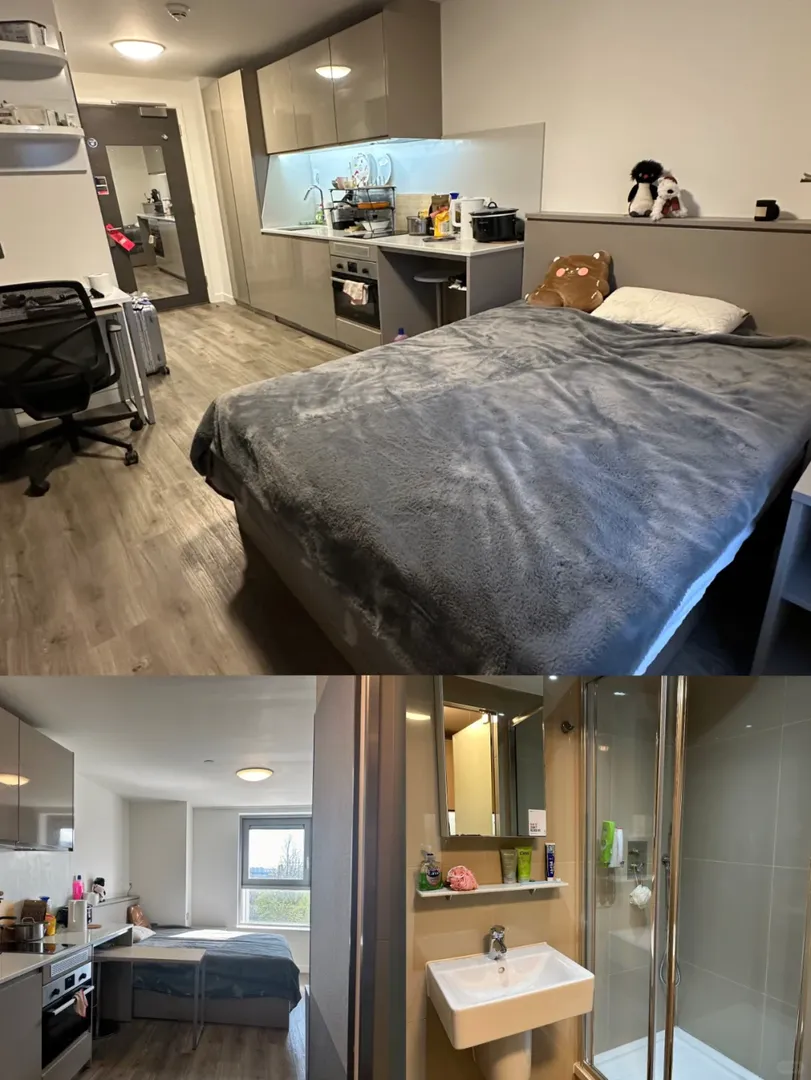 布里斯托出我的小窩🏠