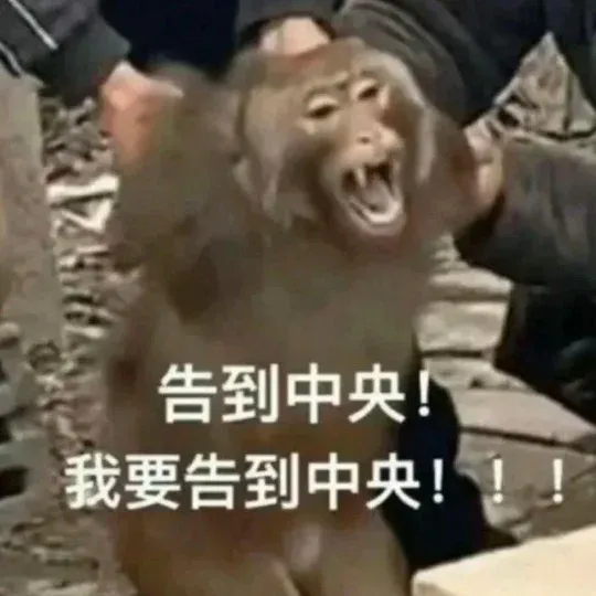 為什麼感覺阿德萊德沒有生活氣息呢
