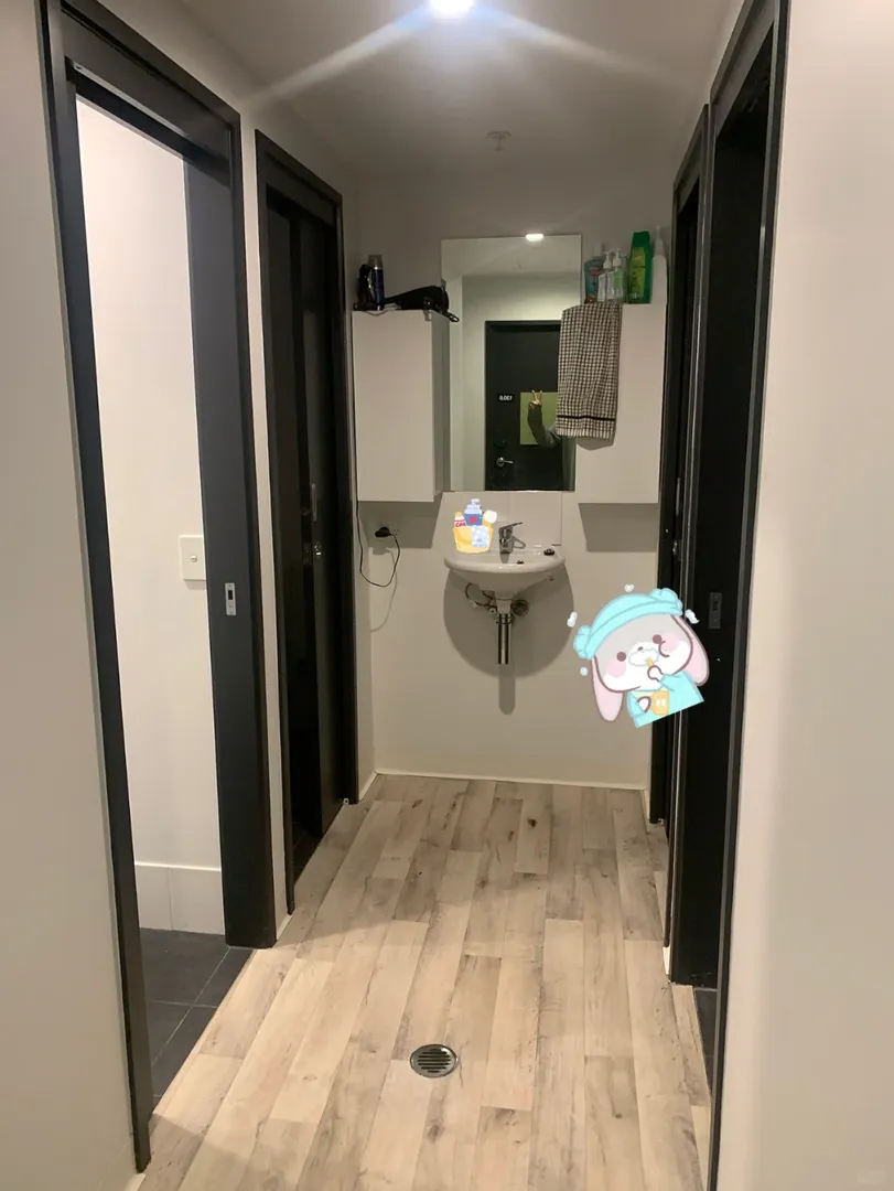 布里斯班近UQ St Lucia合租🏠找室友