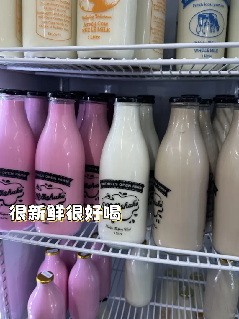 曼城周邊｜敲好玩的動物農場🐄
