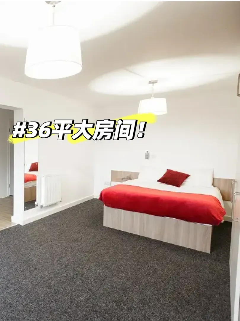 418pw！36平的studio！ucl同學必看❗