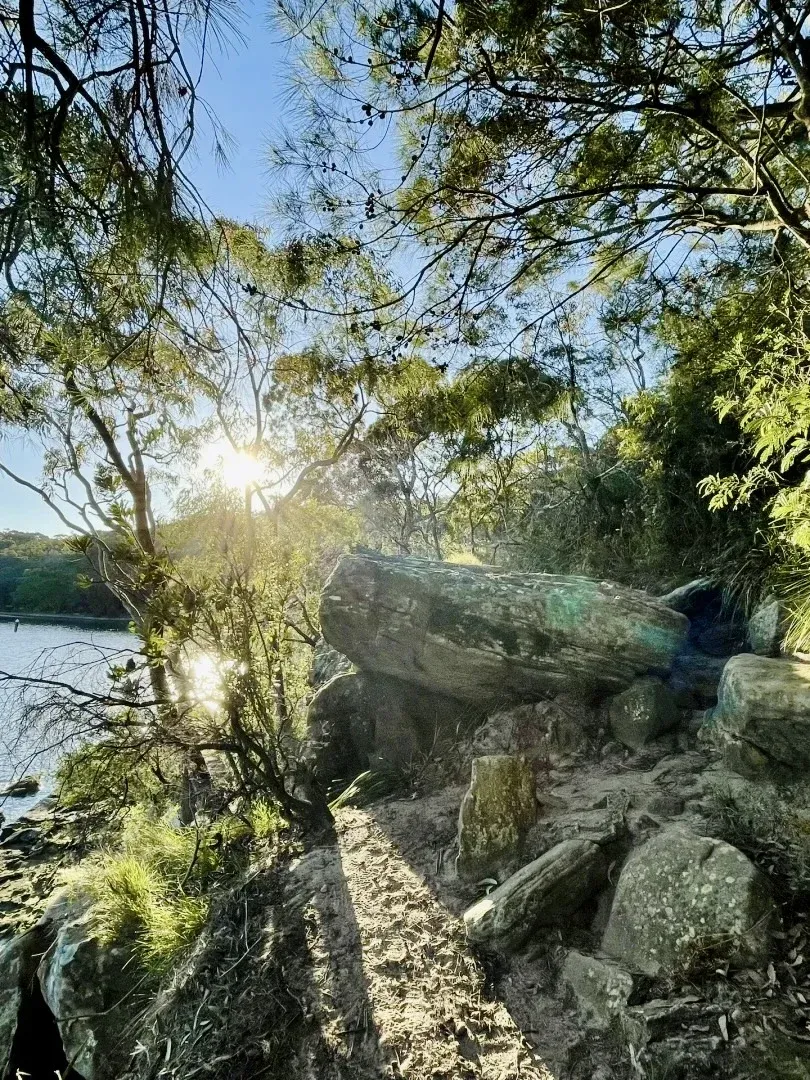 🇦🇺Oatley ｜「i」人獨屬的徒步勝地