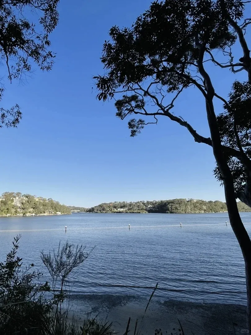 🇦🇺Oatley ｜「i」人獨屬的徒步勝地
