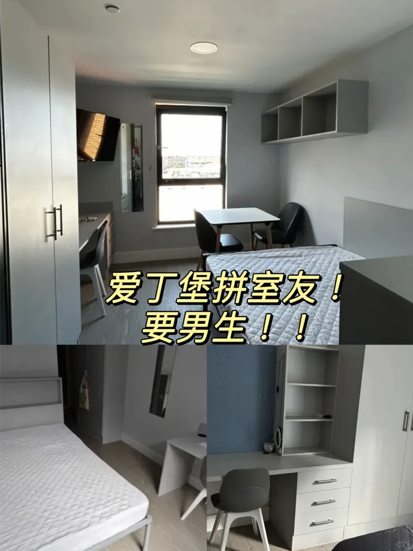 愛寶帶房拼室友！！速來