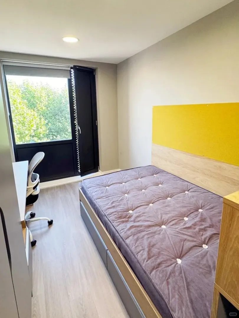 布里斯托bedroom🌞