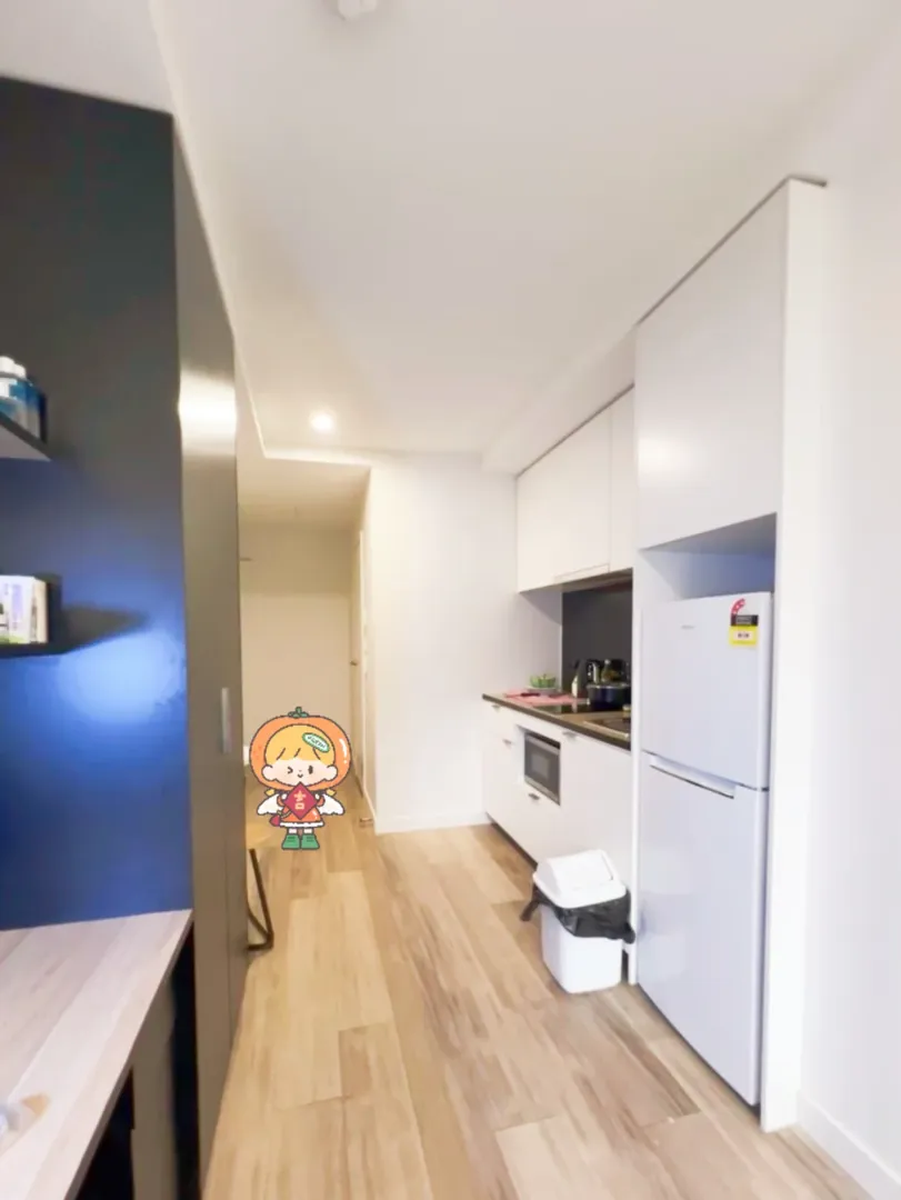其實墨爾本city好價studio挺多的