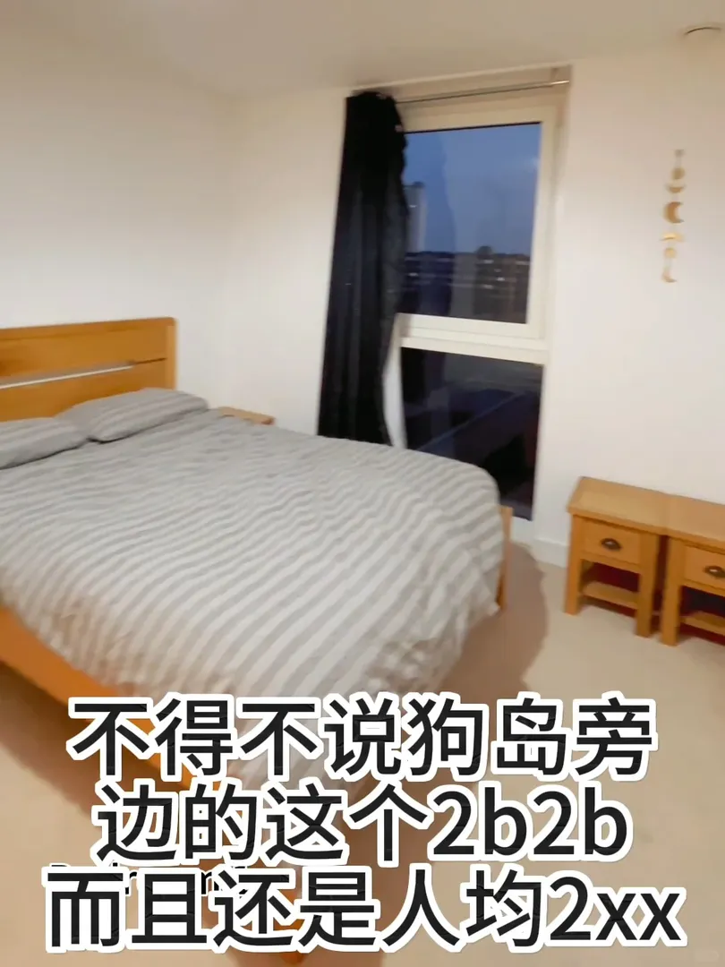 狗島旁邊的2b2b立即轉租啦！說真的這個房才