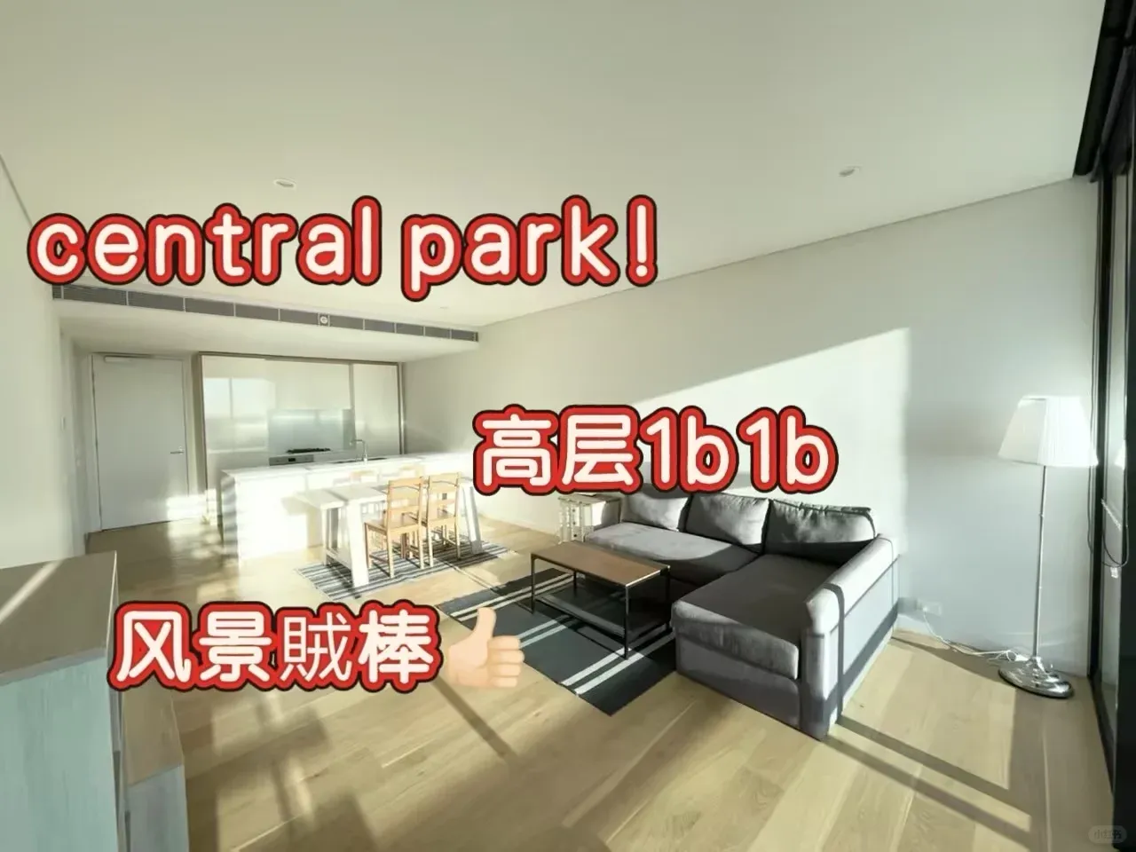 住這也太爽了❗️central park1b幸福感爆棚