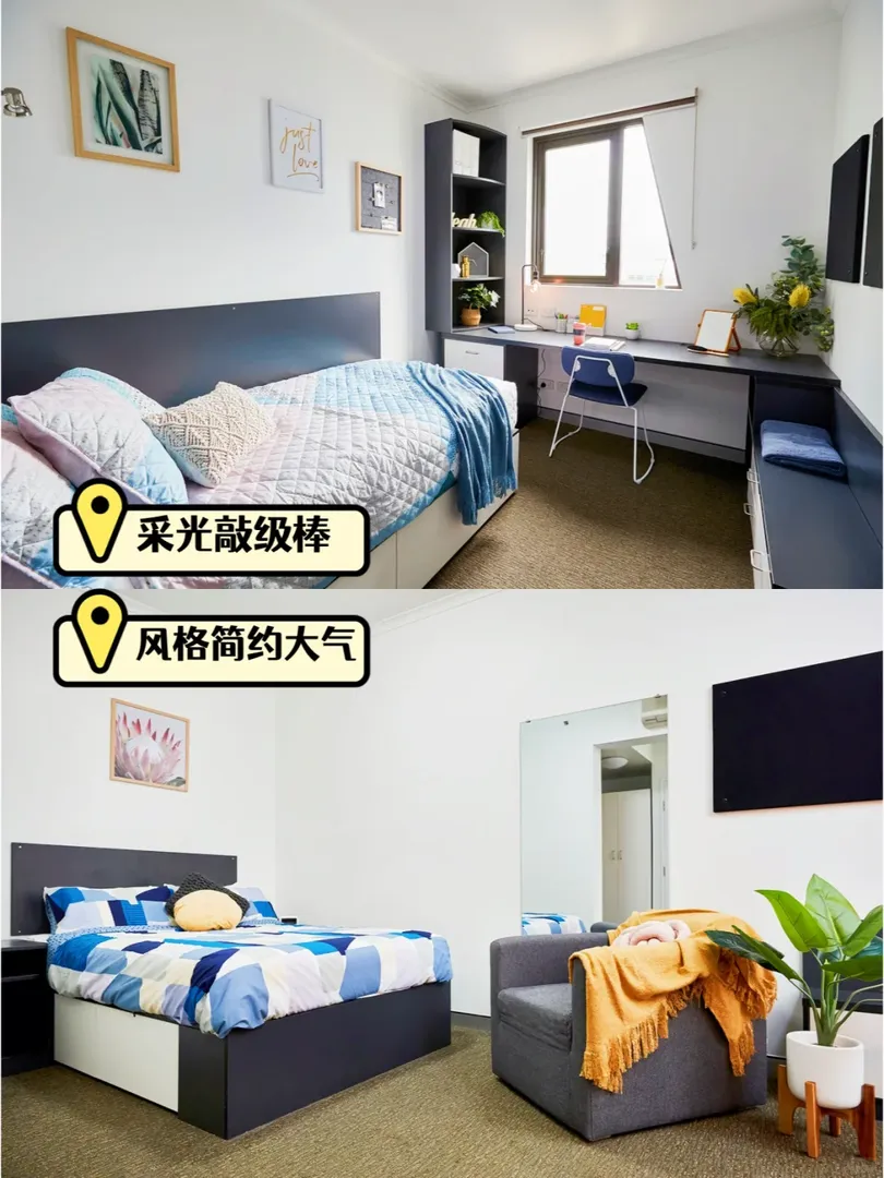 來布里斯班一周，沒出過門