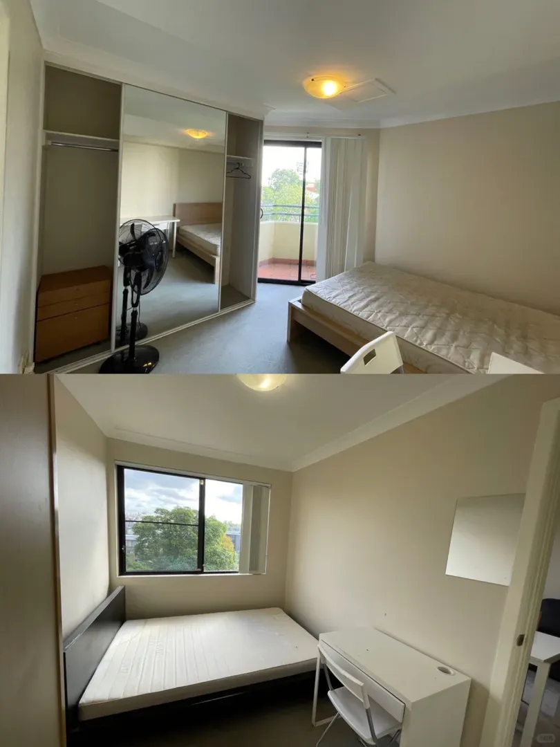 Sydney City 3b最後幾天想轉啦！